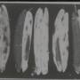 7101-3161-2580-90.jpg